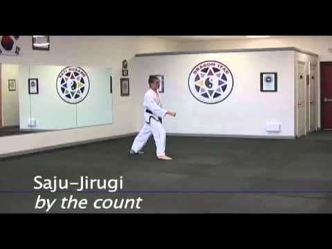 Dragon Star Martial Arts 10th Gup Saju-Jirugi