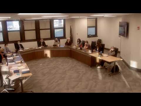 Board Meeting 3/29/21