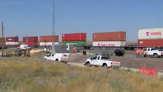 Spilled grain from train derailment may attract grizzly bears