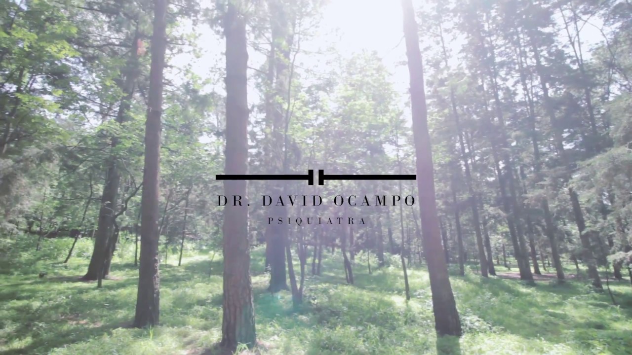 David Ocampo Fonseca-10