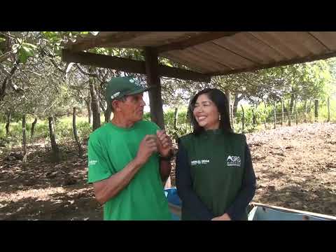 ASSISTÊNCIA DO SENAR TRANSFORMA A PECUÁRIA E AUMENTA A PRODUTIVIDADE EM BURITI BRAVO