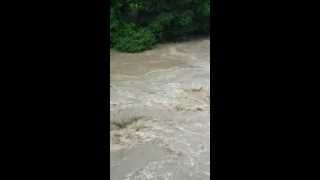 preview picture of video 'Crue du Gave de Pau - Orthez 19 juin 2013'