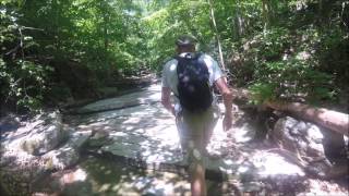 A Hike in Ozark Arkansas
