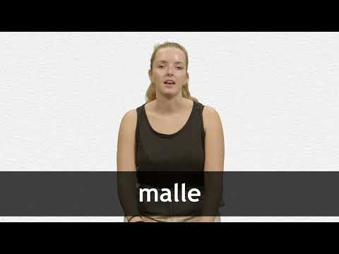 How to pronounce MALLE in French