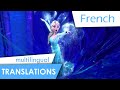 Let it go (French) Subs + multi-Trans 