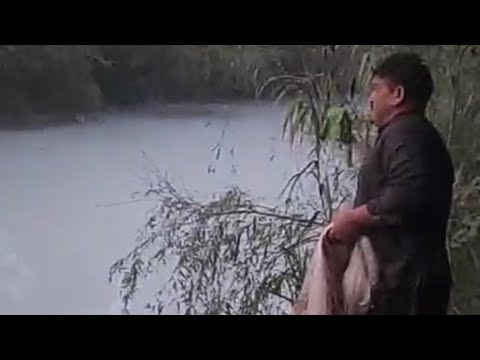 amazing fastest giant bluefin Tuna and Swordfish Fishing skill - Most Satisfying Sea Fishing Videos