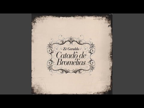 Diário De Bicicleta (o Dia Que Encontrei Che Guevara Na Zona Em Valadares) - Zé Geraldo