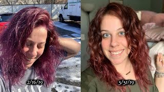 2 Weeks of The Curly Girl Method