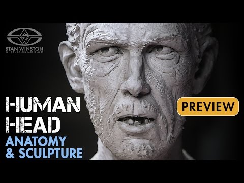 Human head anatomy and sculpture - preview