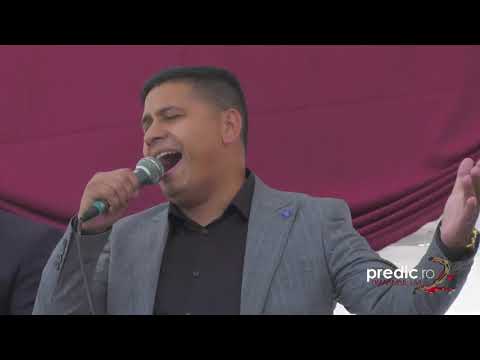 Fluxul live al utilizatorului prediclive