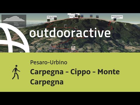 Escursione in Pesaro-Urbino: Carpegna - Cippo - Monte Carpegna