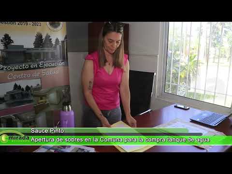 SAUCE PINTO - ENTRE RÍOS