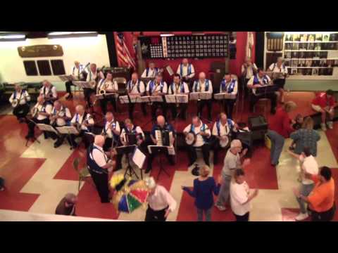Sterling String Band - Everywhere You Go - Mummers Museum