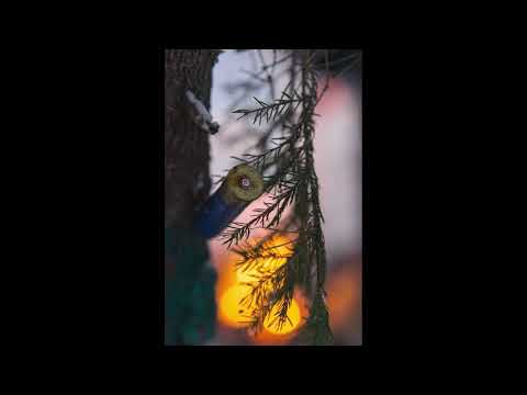 [free] UK Drill x Trap Melody (never)