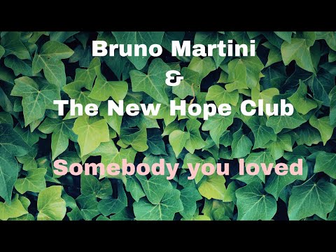 Somebody that you loved by Bruno Martini & The New Hope Club lyrics