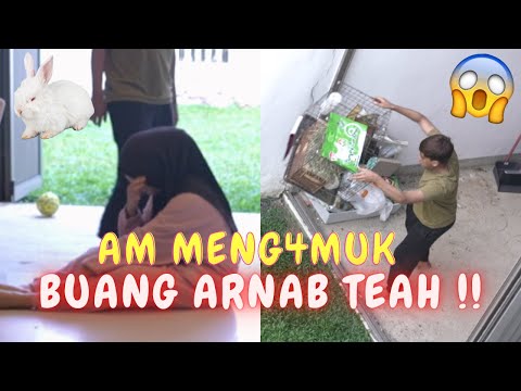 AM MENG4MUK BUANG ARNAB TEAH !! - TEAH SEDIH