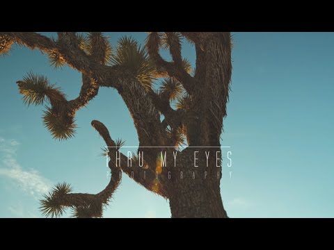 Thru My Eyes Photography video.