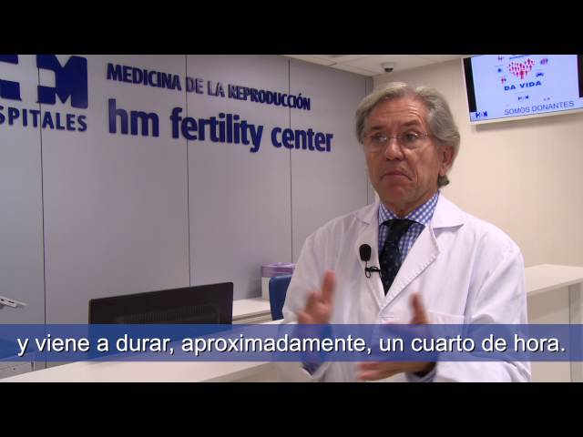 Seguridad y eficacia de los tratamientos de FIV-ICSI - Isidoro Bruna Catalán