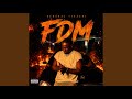 FDM