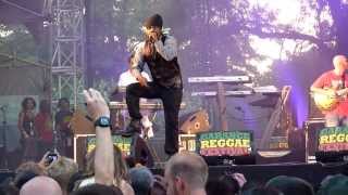 Turbulence with Dub Akom Band 2012 Garance Reggae Festival/F