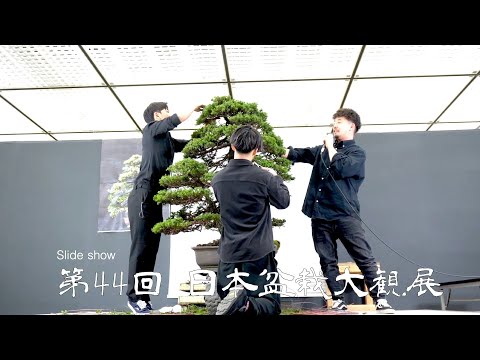 [4K] 小林優己氏 佐々木勇星氏 李瑟企氏  盆栽デモンストレーション in 第44回日本盆栽大観展