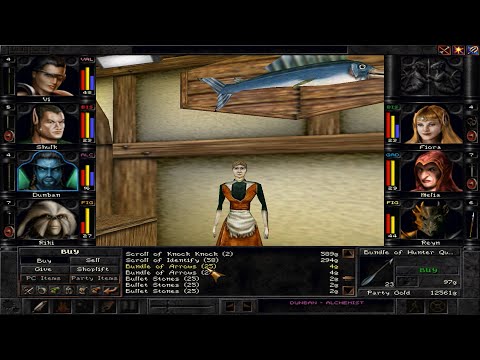 Let’s Play Wizardry 8 – Ironman Expert 06 – Arnika: Shopping Trip