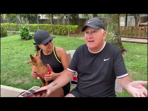 Felix Zuluaga - I have to confess - (Upa Pues)