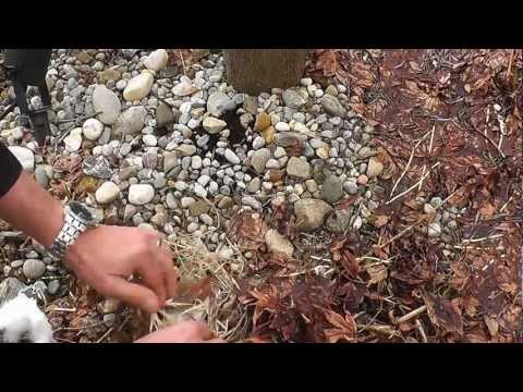 Feuerstahl - damit können Sie jederzeit ein Feuer entzünden