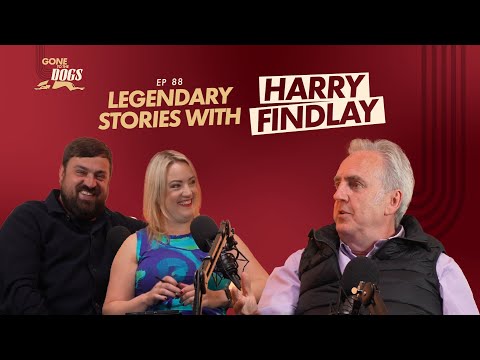 Episode 88 - Harry Findlay
