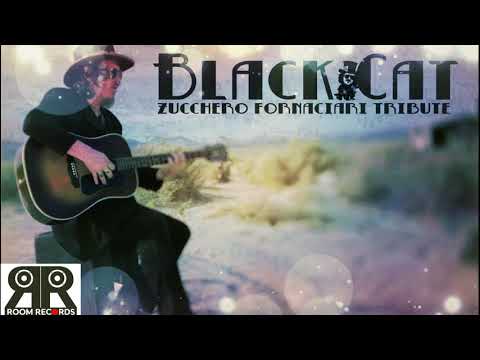 BLACK CAT ZUCCHERO FORNACIARI TRIBUTE BAND SOUL MAMA