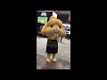 ISABELLE DANCES HARD