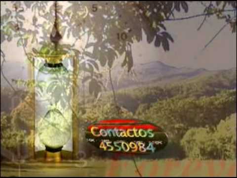 ANCESTRO UNTAÑA - (CAMINO DE ORO )