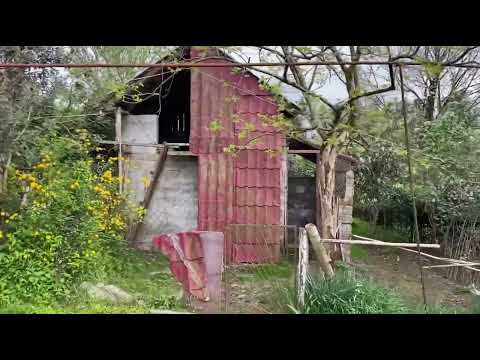 Продаётся дом с земельным участком у реки.