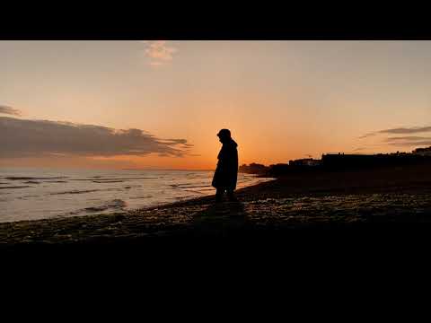 Thi Fisher - Seagulls  ( fan made video from Brighton )