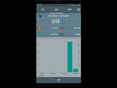 Pedometer for walking Video