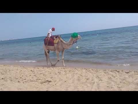 Hotel Nesrine Hammamet, Beach, third attempt lol
