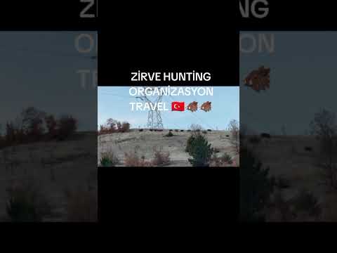 Zirve Hunting Organizasyon Travel
