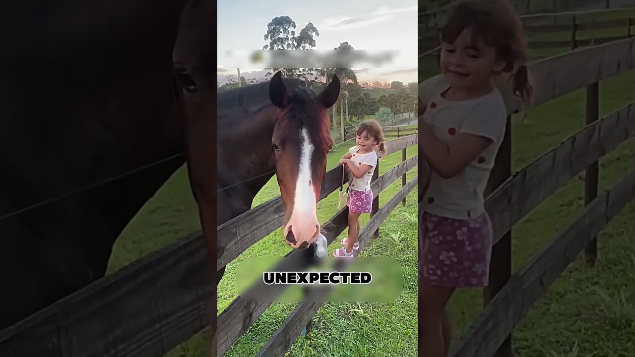 Girl Wins Horse’s Heart ❤️