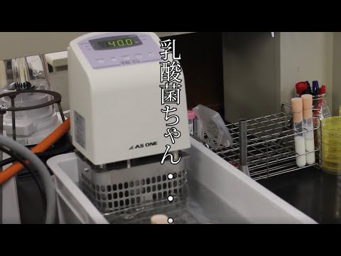 機械工学科 八戸工業大学いかがでしょう_工学部生命環境科学科_Mr.乳酸菌vol.2