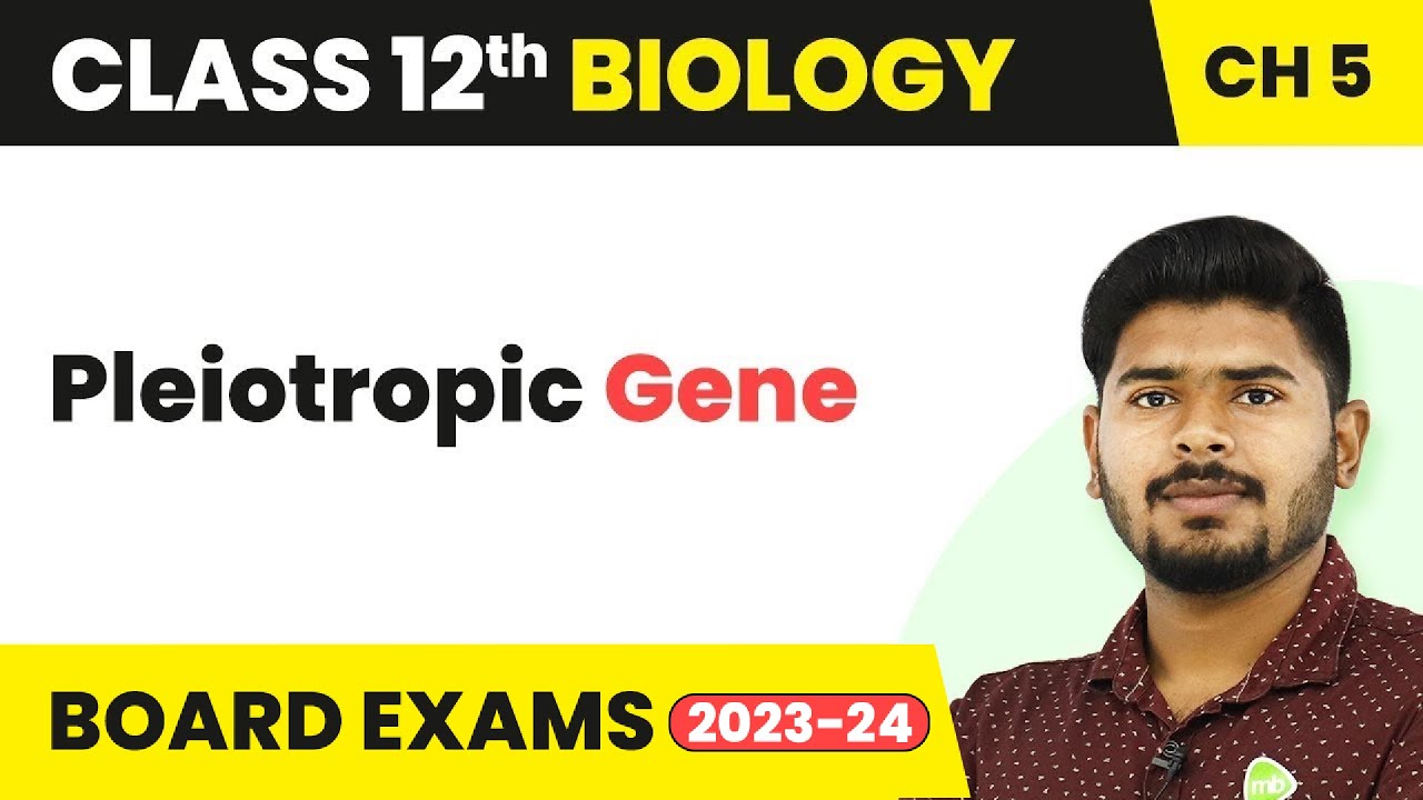 Pleiotropic Gene - Principles of Inheritance and Variation | Class 12 (2022-23)