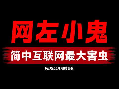 网左小鬼：同时让小粉红、反贼和中共都厌恶的群体 | 抽象又招笑的中国左翼