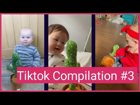 babies reaction to dancing cactus - TikTok Compilation #3