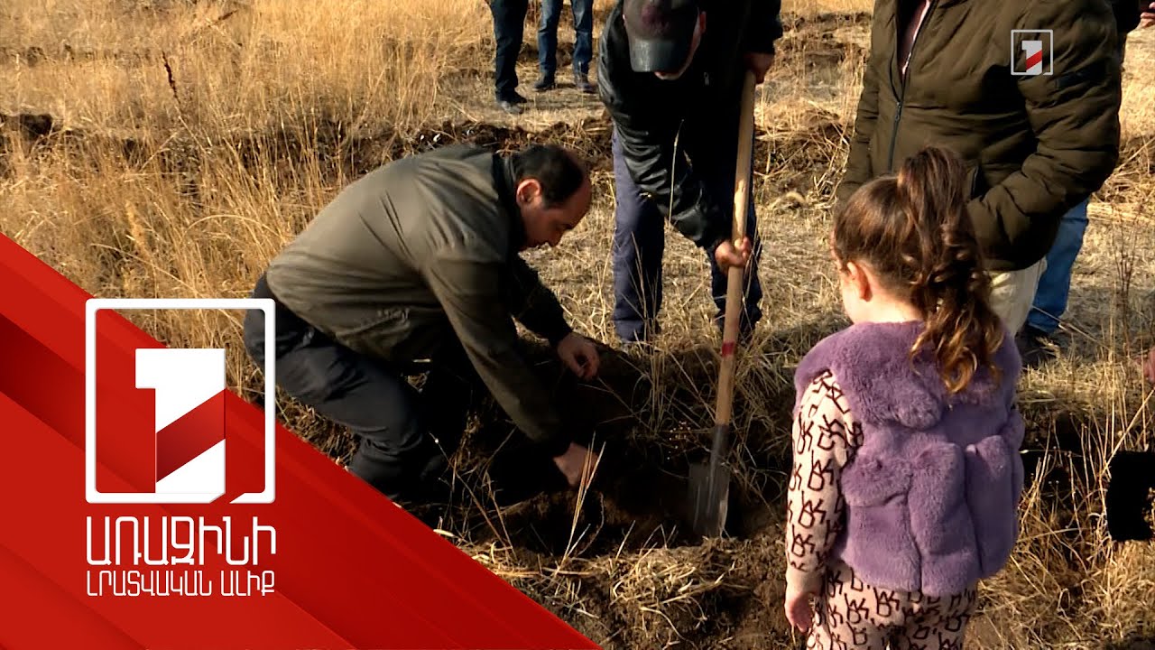 Այս տարվա համապետական ծառատունկի ժամանակ տնկվել է մոտ 451 հազար ծառ