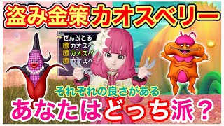 【ドラクエ10】サポで簡単！盗み金策「カオスベリー」1番入手できるやり方を検証！【レベル上げも】