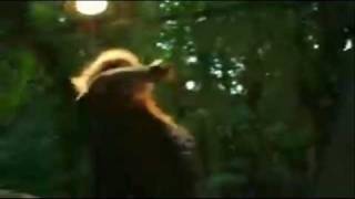 Sous Un ciel Ecarlate