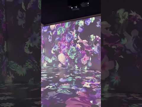 Farmácia Santa Maria Novella (loja Corso del Rinascimento) Avaliações, Acesso, Horário de funcionamento | Roma