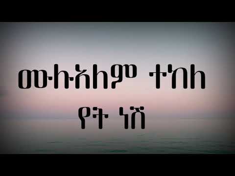 Mulualem takele ( yet nesh ) ሙሉአለም ተከለ ( የት ነሽ ) - new ethiopian music ( lyrics ) 2024