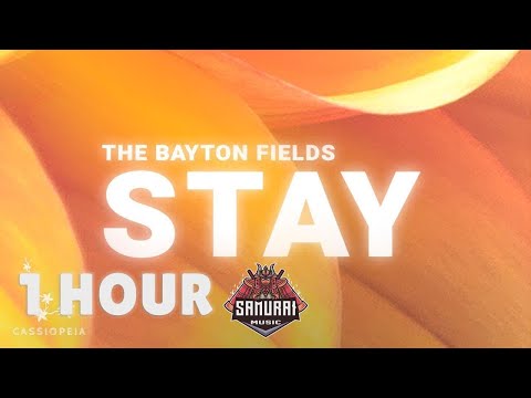 [ 1 HOUR ] The Bayton Fields - Stay feat Sam Gouthro (Lyrics)