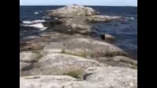 preview picture of video 'Tours-TV.com: Onega petroglyphs, Cape Besov Nos'