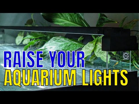 Riser for Fluval Aquasky 2.0 Light Unboxing & First Impressions. Raise Up Your Tank Lights!